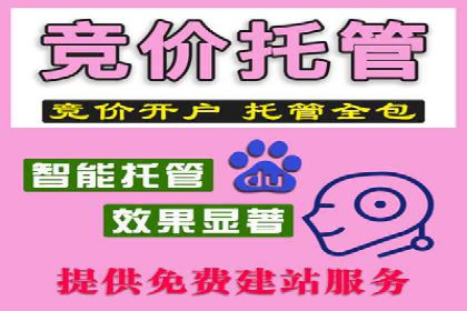 竞价开户推广成功案例解析